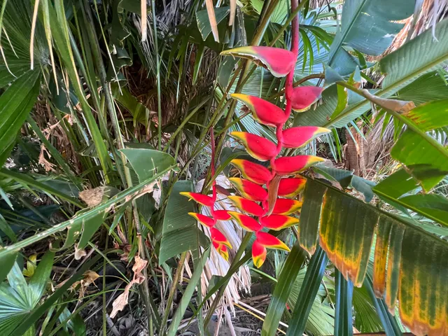 a view of a city street from a building