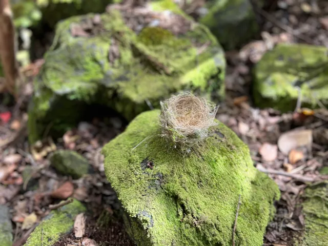 a view of a swimming pool