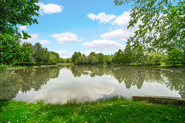 357 Lucille Lane Schaumburg, IL 60193 - Photo 20 of 23