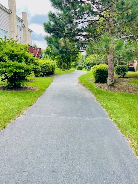 357 Lucille Lane Schaumburg, IL 60193 - Photo 21 of 23