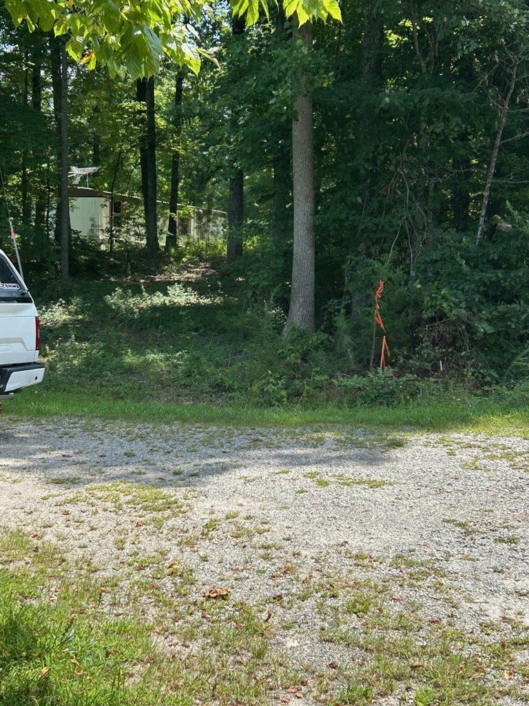 2030 Douglas Church Road Farmville, VA 23901 - Photo 13 of 14 Gallery Image 13
