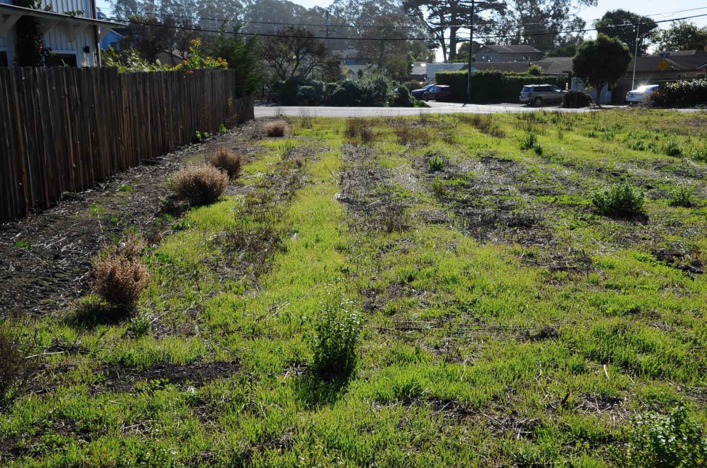 485 Mirada Road Half Moon Bay, CA 94019 - Photo 7 of 15 Gallery Image 7