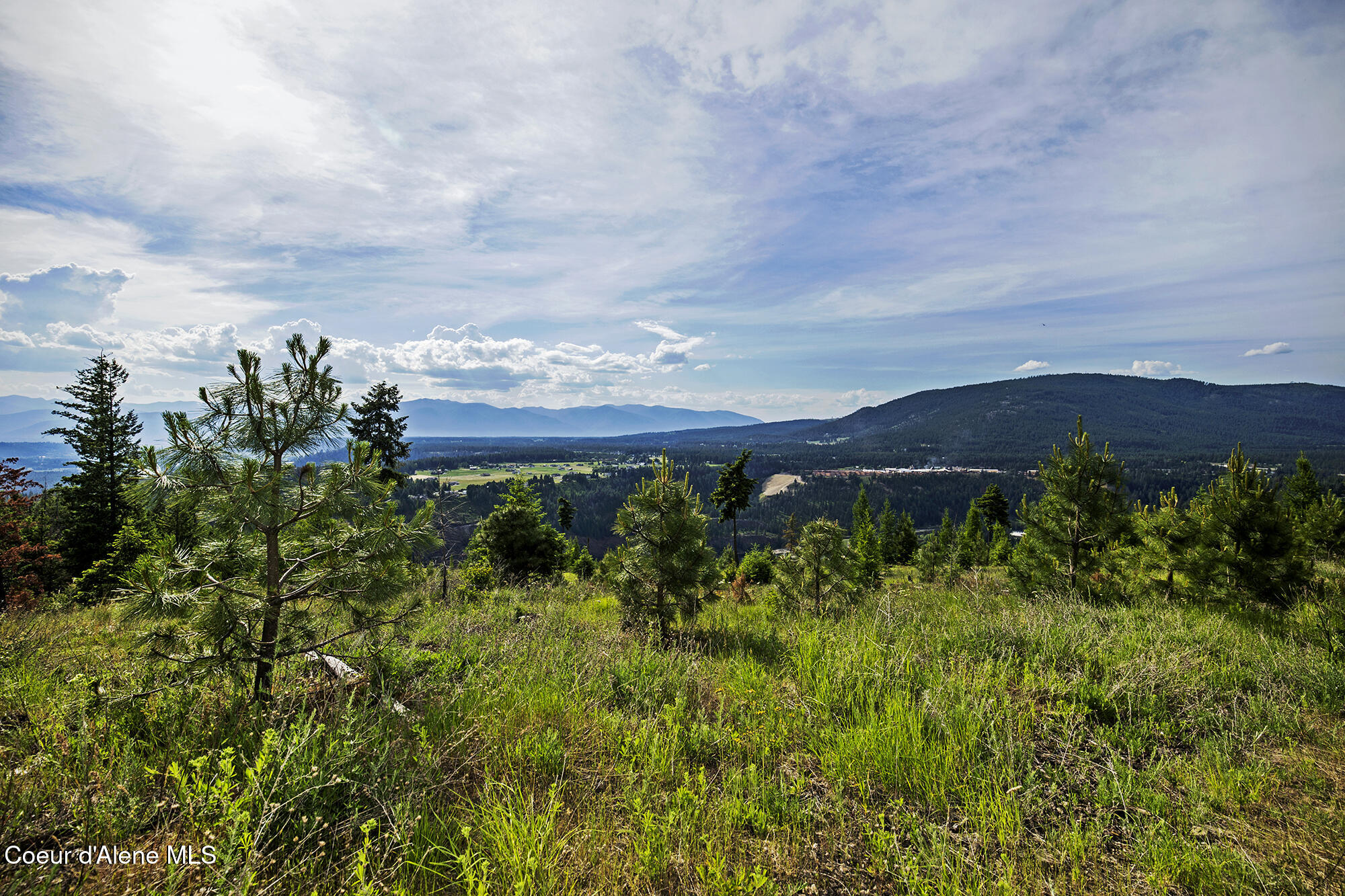 133 Two Tail Road Bonners Ferry, ID 83805 - Photo 5 of 18 TwoTailLOT_07