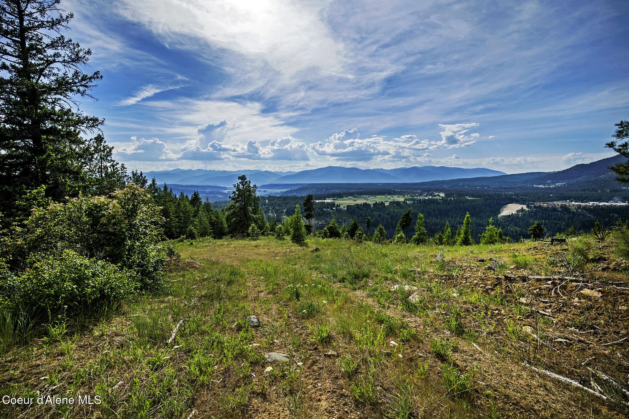 133 Two Tail Road Bonners Ferry, ID 83805 - Photo 7 of 18 TwoTailLOT_09