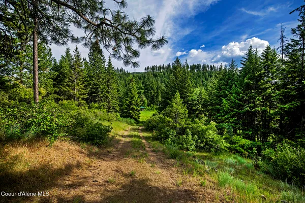 $346,000 | 133 Two Tail Road, Bonners Ferry, ID 83805