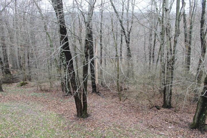 18290 Gambier Road Mount Vernon, OH 43050 - Photo 27 of 32