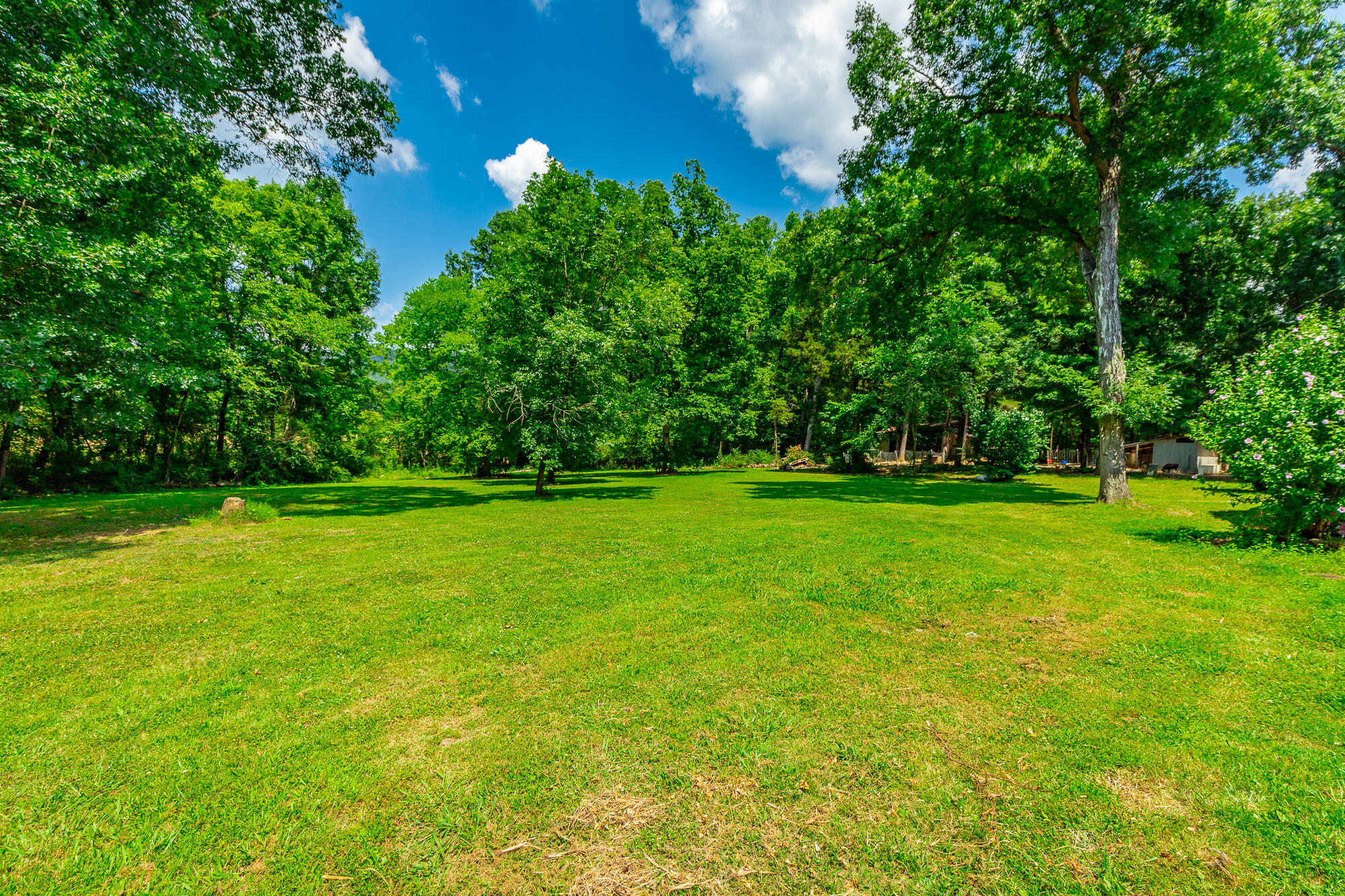 7636 Ooltewah Georgetown Road Ooltewah, TN 37363 - Photo 118 of 180 7636 Ooltewah Georgetown Road HD-12