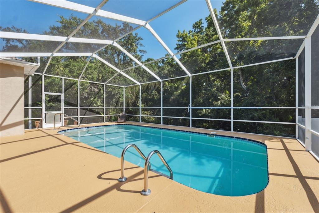 8125 Setters Point Drive New Port Richey, FL 34653 - Photo 17 of 58 Pool Area