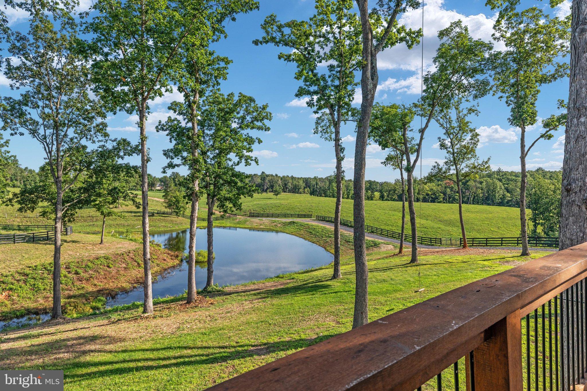 359 Ridgeway Road Front Royal, VA 22630 - Photo 62 of 136 2E6A7680_ 359 Ridgeway Rd - Absolute Altitude - 8