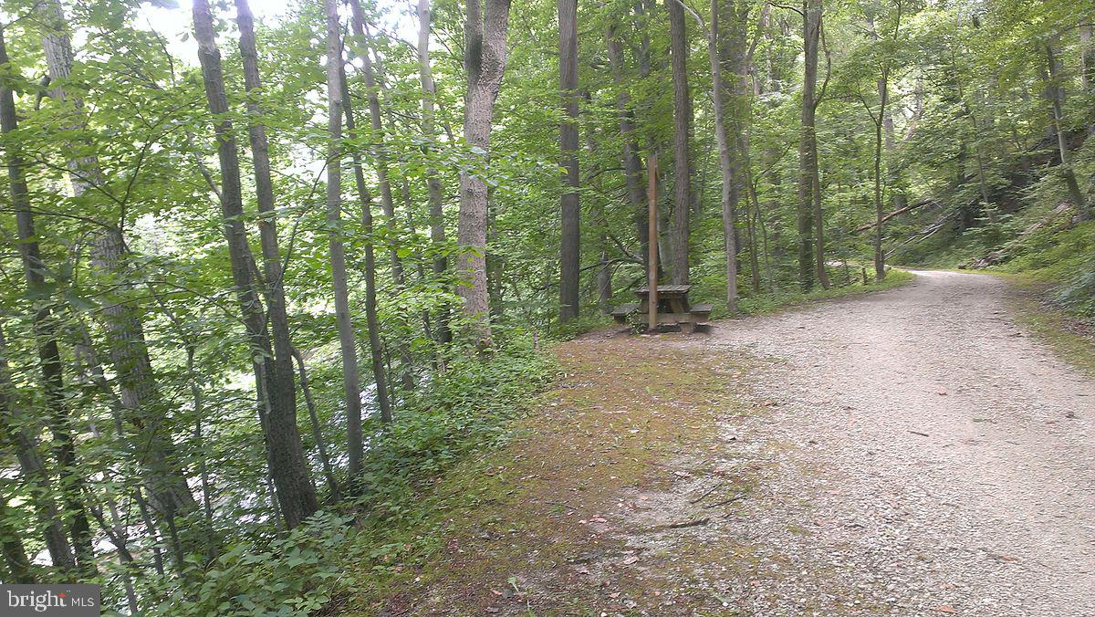 33 Constantine Drive Phoenix, MD 21131 - Photo 31 of 33