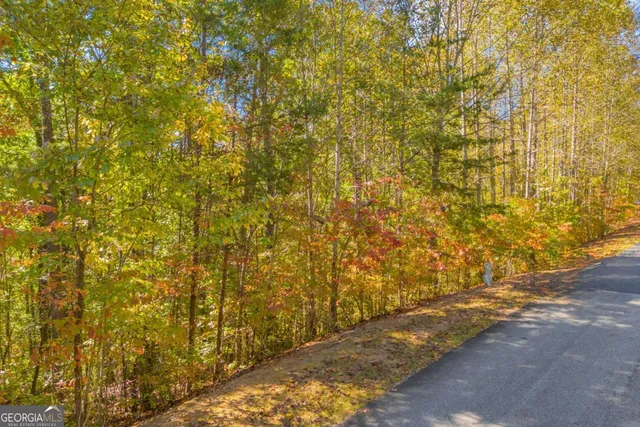 a view of outdoor space and a yard