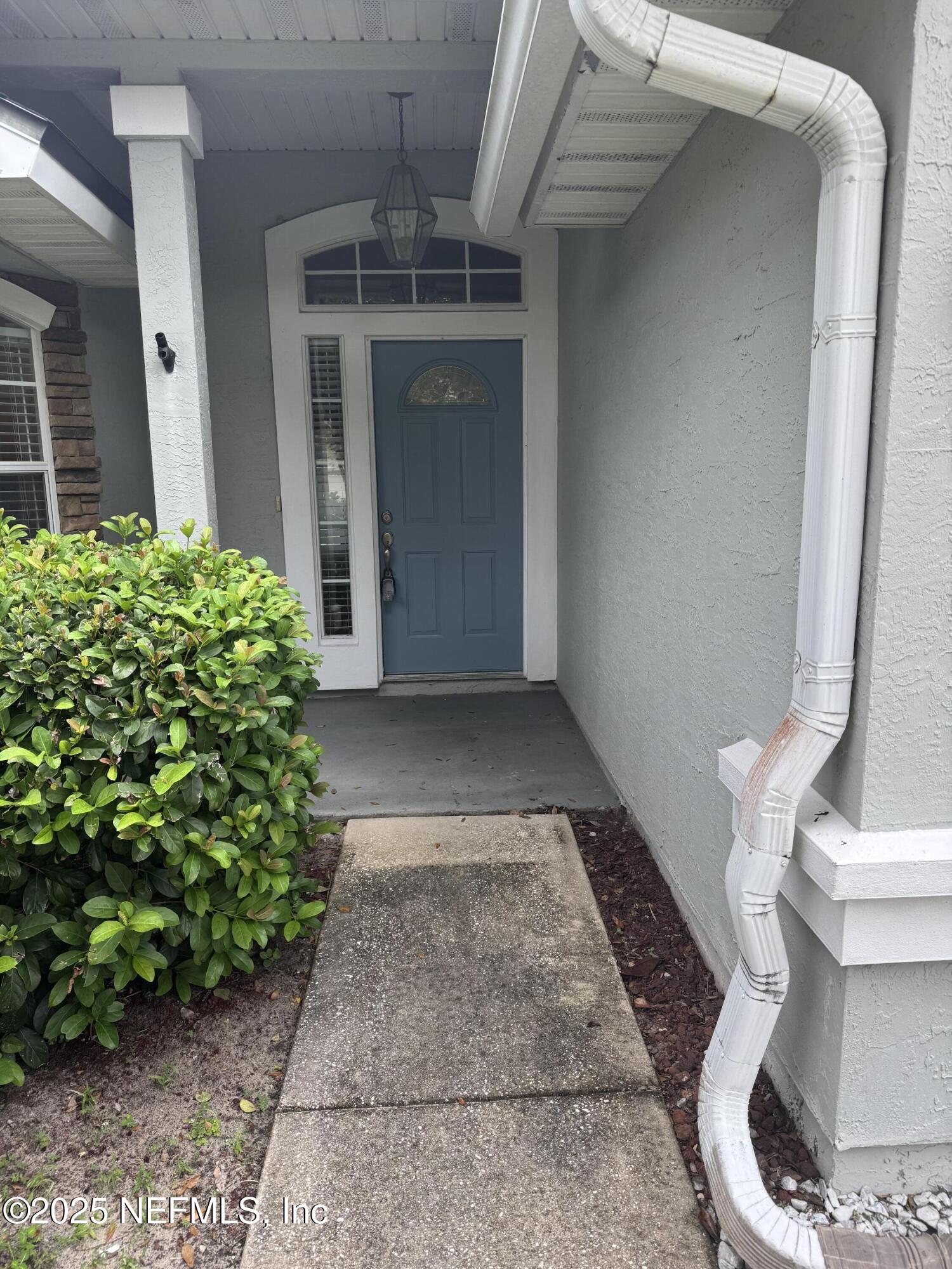 1428 Tintern Lane St. Augustine, FL 32092 - Photo 4 of 15 a view of a back yard of the house