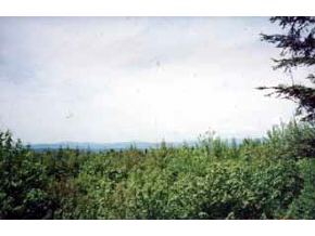 * Haynes Road Stewartstown, NH 03592 - Photo 2 of 4 Gallery Image 2