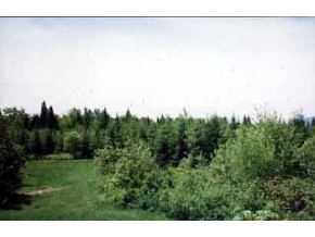 * Haynes Road Stewartstown, NH 03592 - Photo 3 of 4 Gallery Image 3
