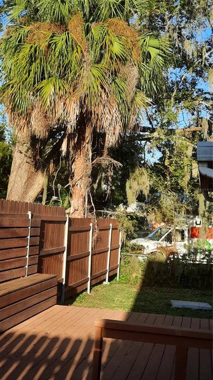 1333 Bender Avenue Holly Hill, FL 32117 - Photo 14 of 37 a view of outdoor space and yard