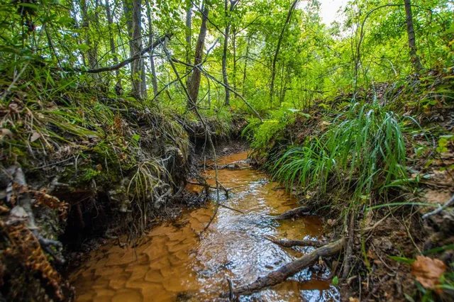 a view of outdoor space and green space