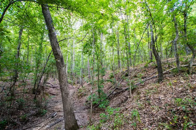 a view of outdoor space