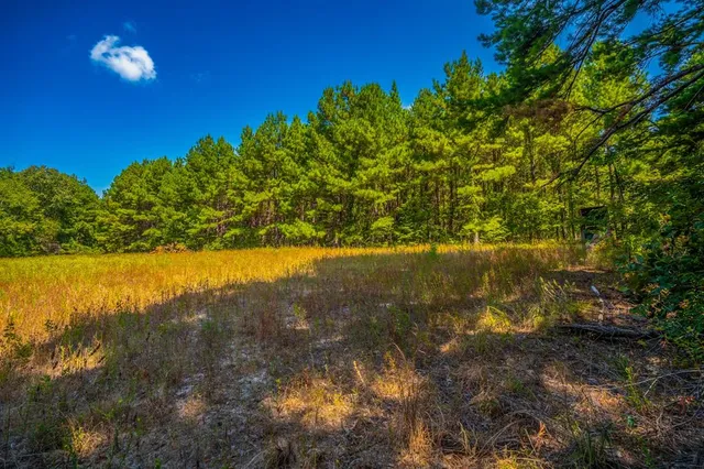 a view of a field with an ocean