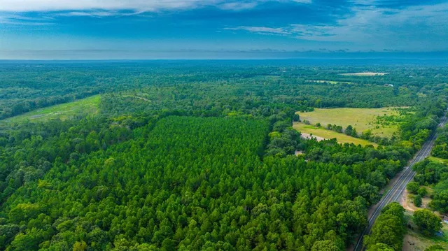 a view of a big yard with large trees