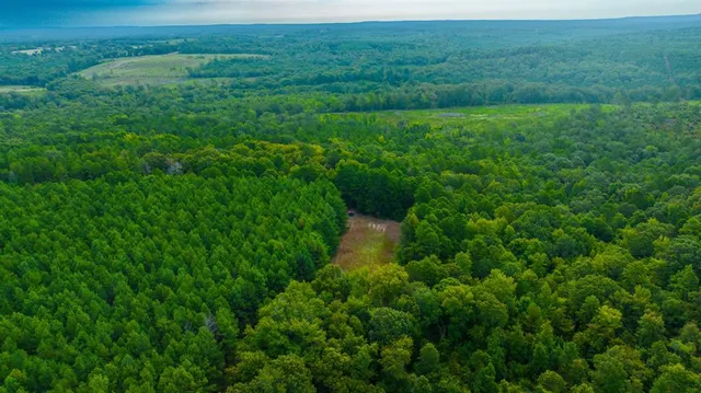 a view of a lake and a yard