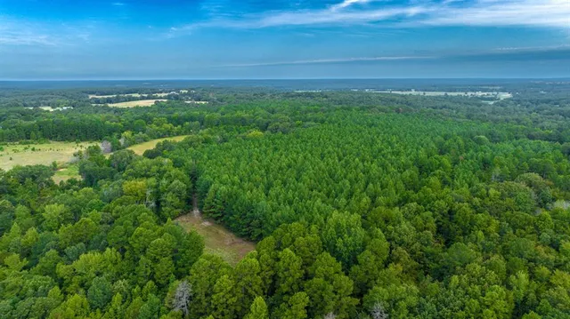 a view of a big yard with large trees