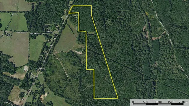 a green field with lots of bushes