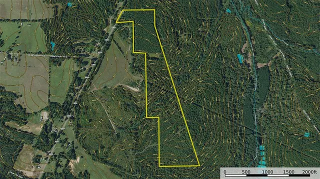 a view of a field of grass and trees