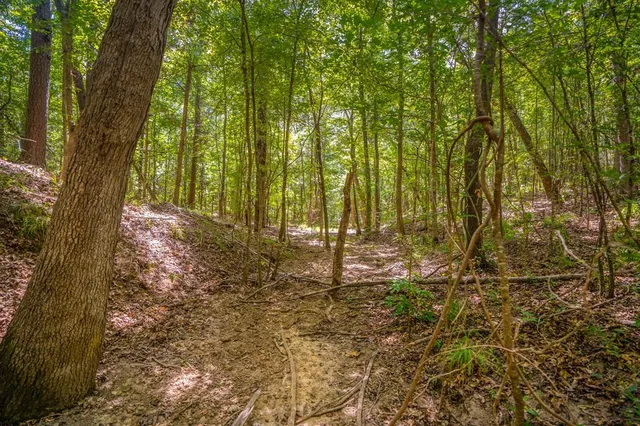 a view of swimming pool from a yard