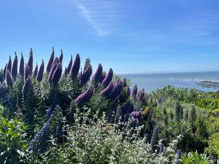 $2,595,000 | 272 Ocean Parkway, Bolinas, CA 94924