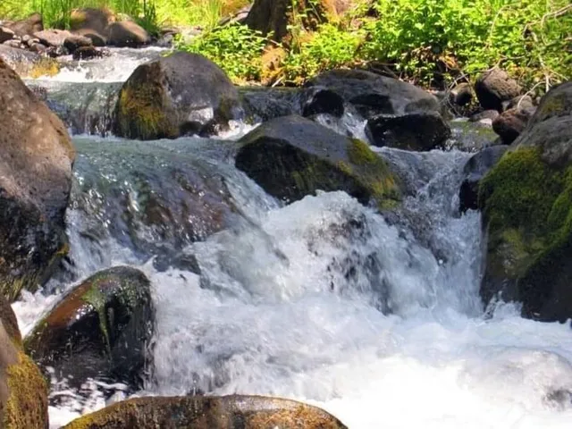 $145,000 | Lot 01 Woodcutter's Way, Manton, CA 96059