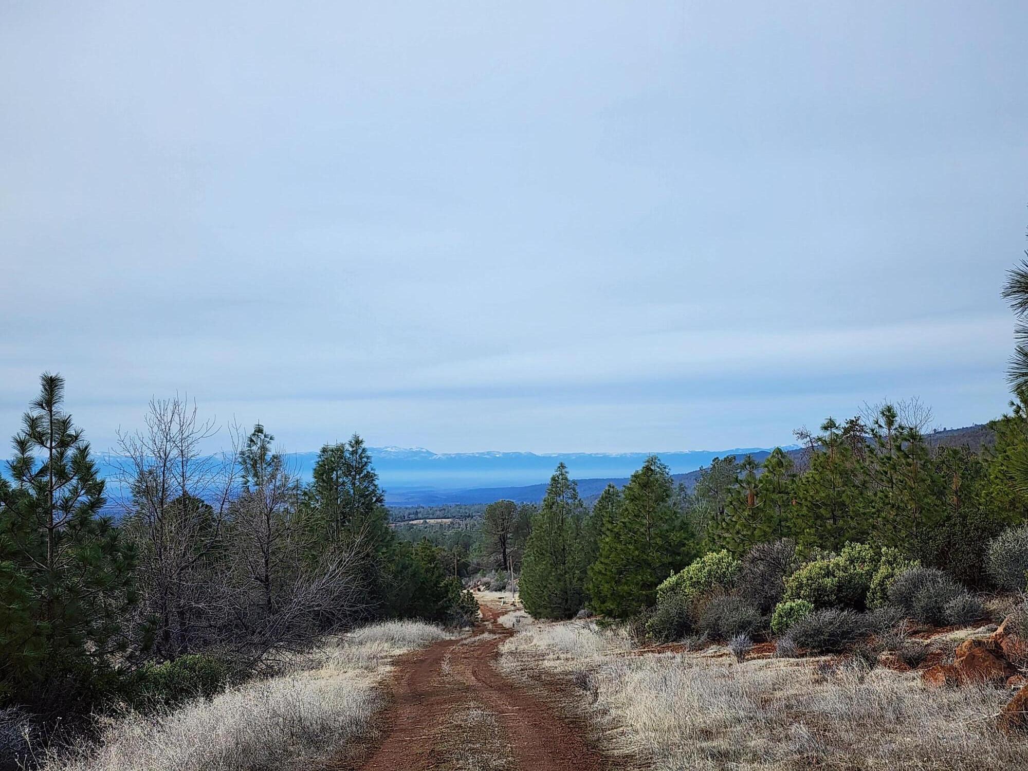 Lot 01 Woodcutter's Way Manton, CA 96059 - Photo 13 of 33 20230207_103411
