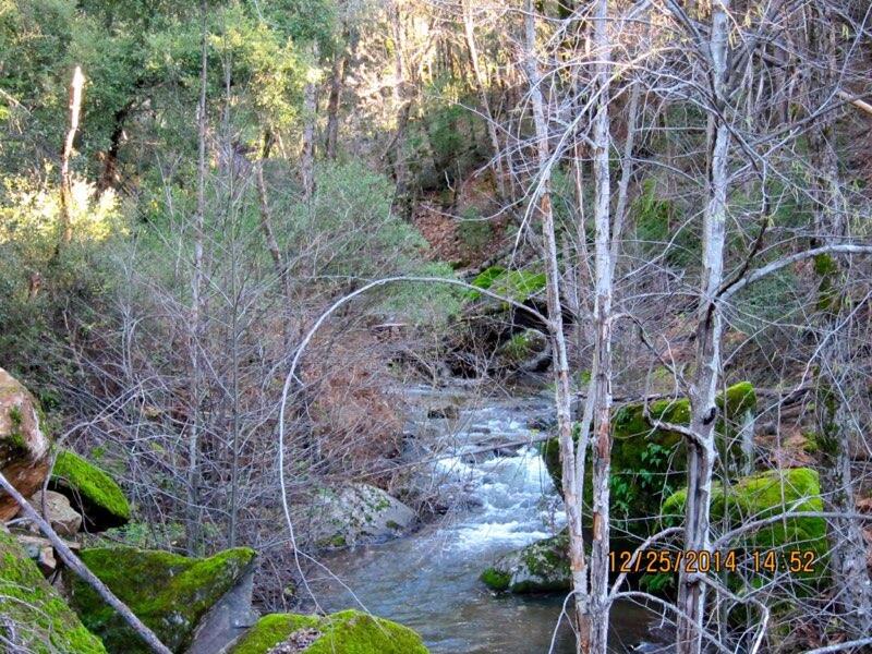 Lot 01 Woodcutter's Way Manton, CA 96059 - Photo 17 of 33 Lot 01 Woodcutter's Way-2