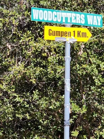 $145,000 | Lot 01 Woodcutter's Way, Manton, CA 96059