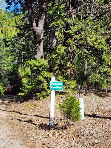 $145,000 | Lot 01 Woodcutter's Way, Manton, CA 96059