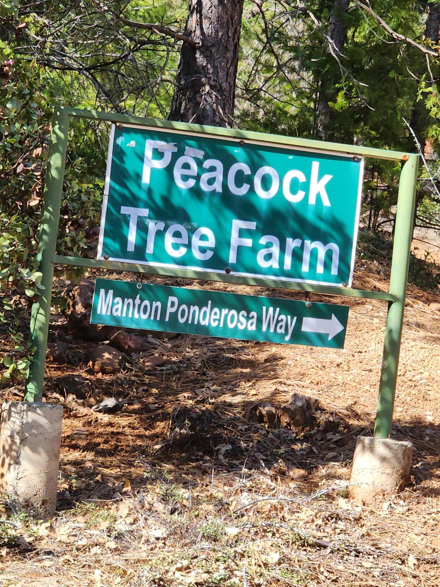 Lot 01 Woodcutter's Way Manton, CA 96059 - Photo 20 of 33 20230219_113930