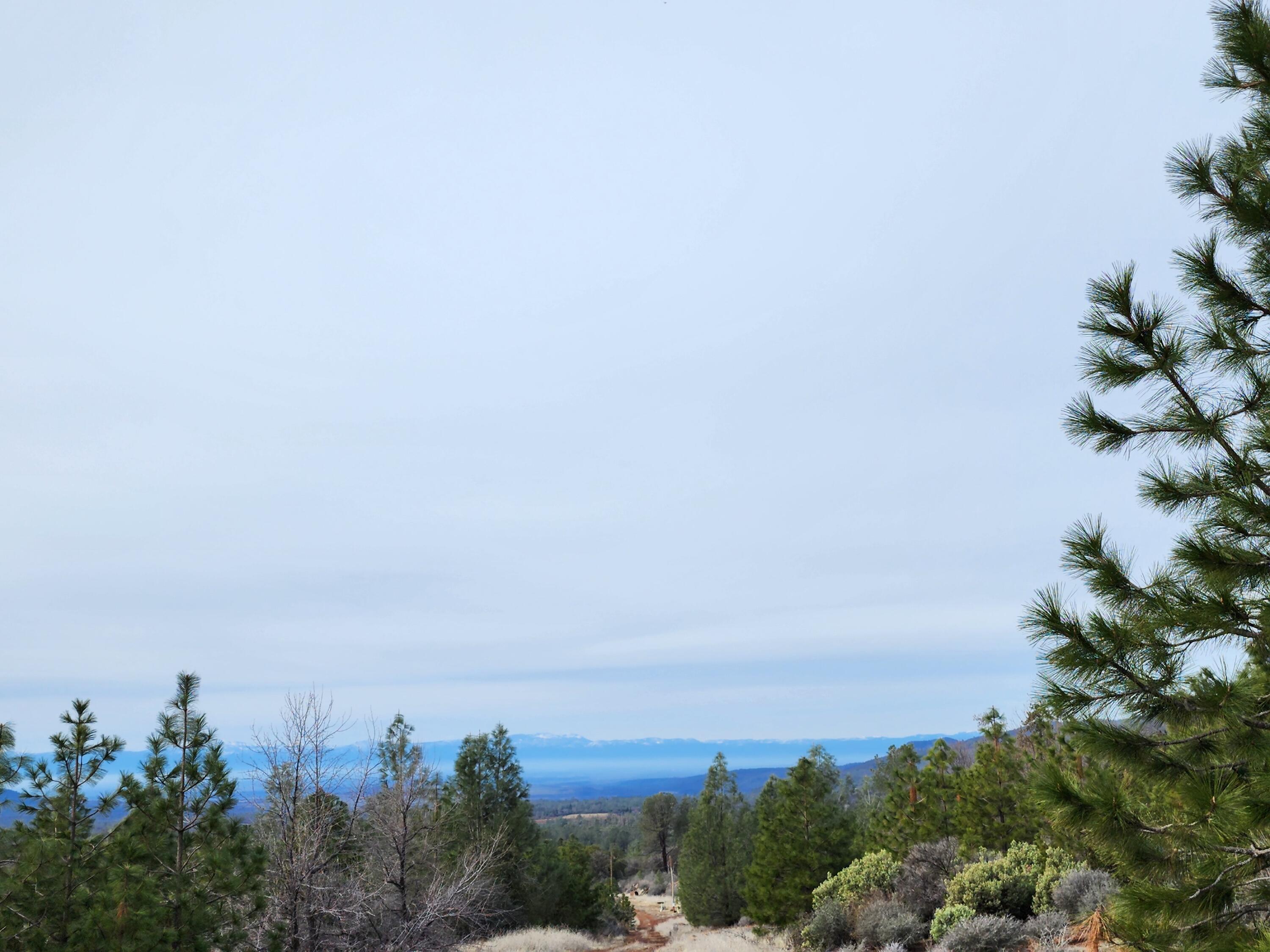 Lot 01 Woodcutter's Way Manton, CA 96059 - Photo 2 of 33 20230207_103516