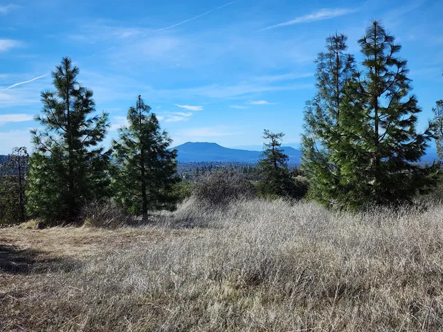 $145,000 | Lot 01 Woodcutter's Way, Manton, CA 96059