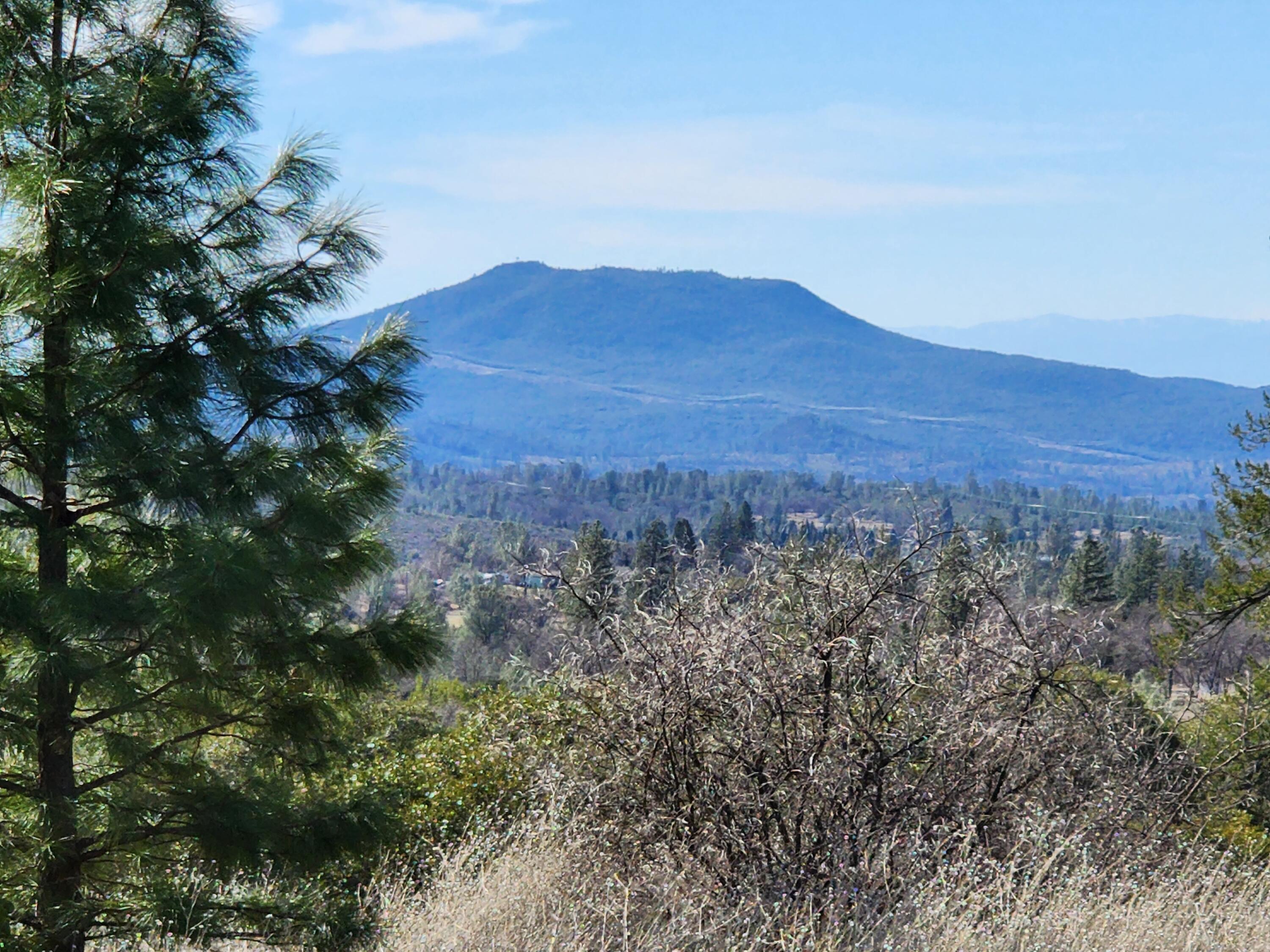 Lot 01 Woodcutter's Way Manton, CA 96059 - Photo 24 of 33 20230219_114658