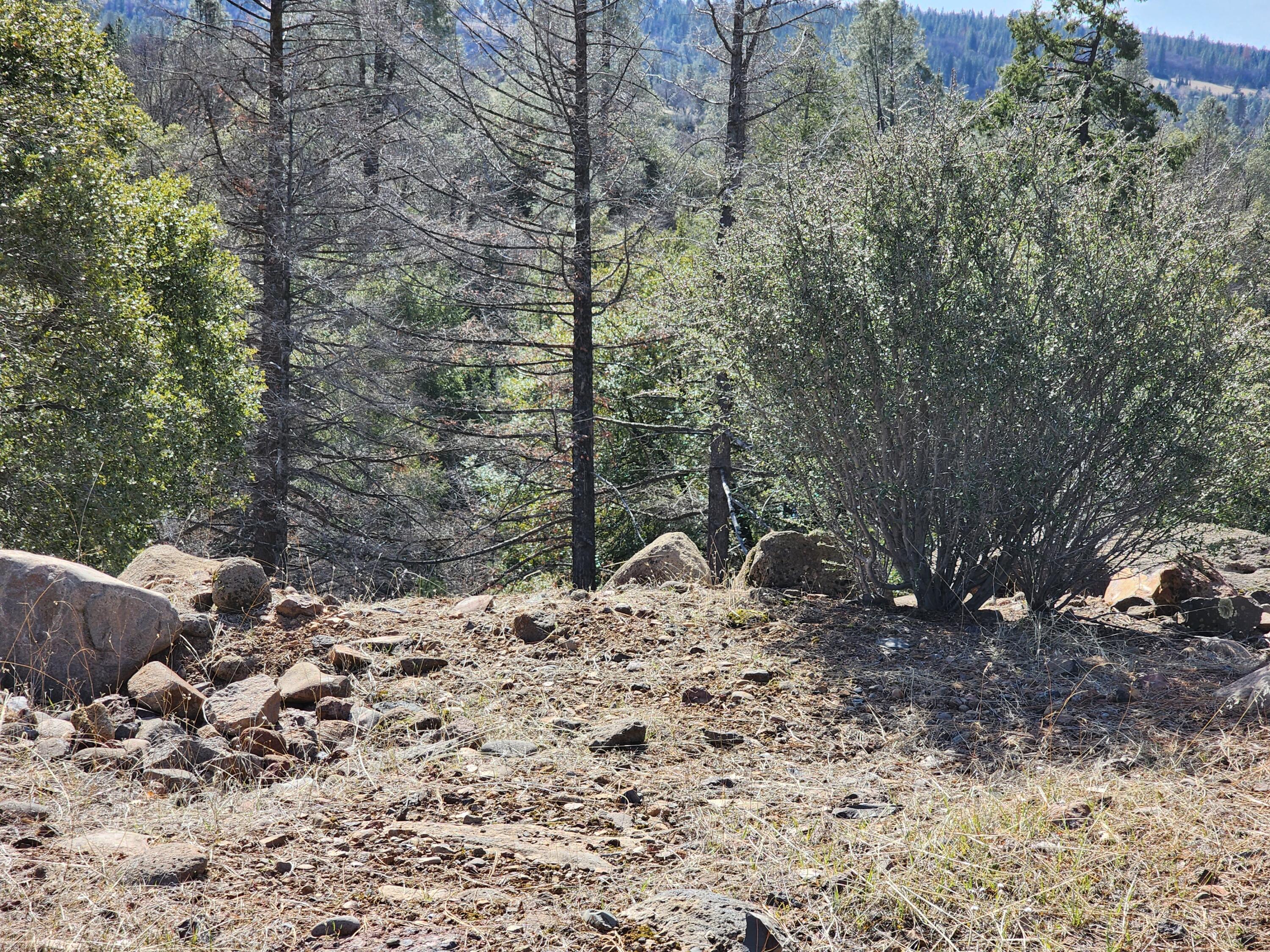 Lot 01 Woodcutter's Way Manton, CA 96059 - Photo 25 of 33 20230219_114729