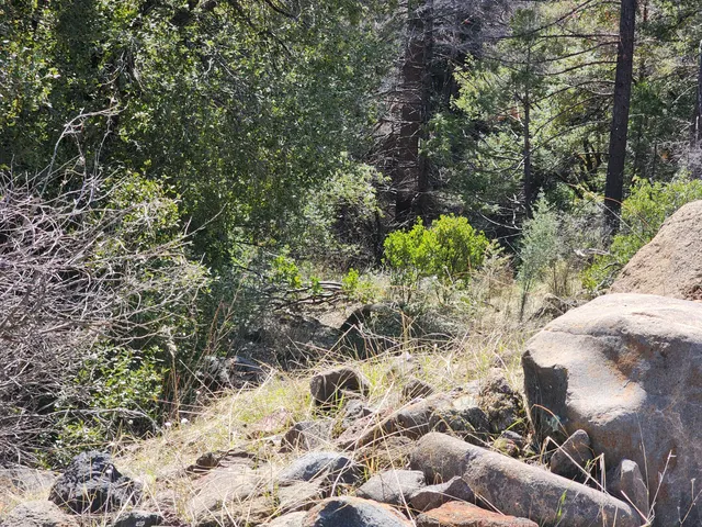 $145,000 | Lot 01 Woodcutter's Way, Manton, CA 96059