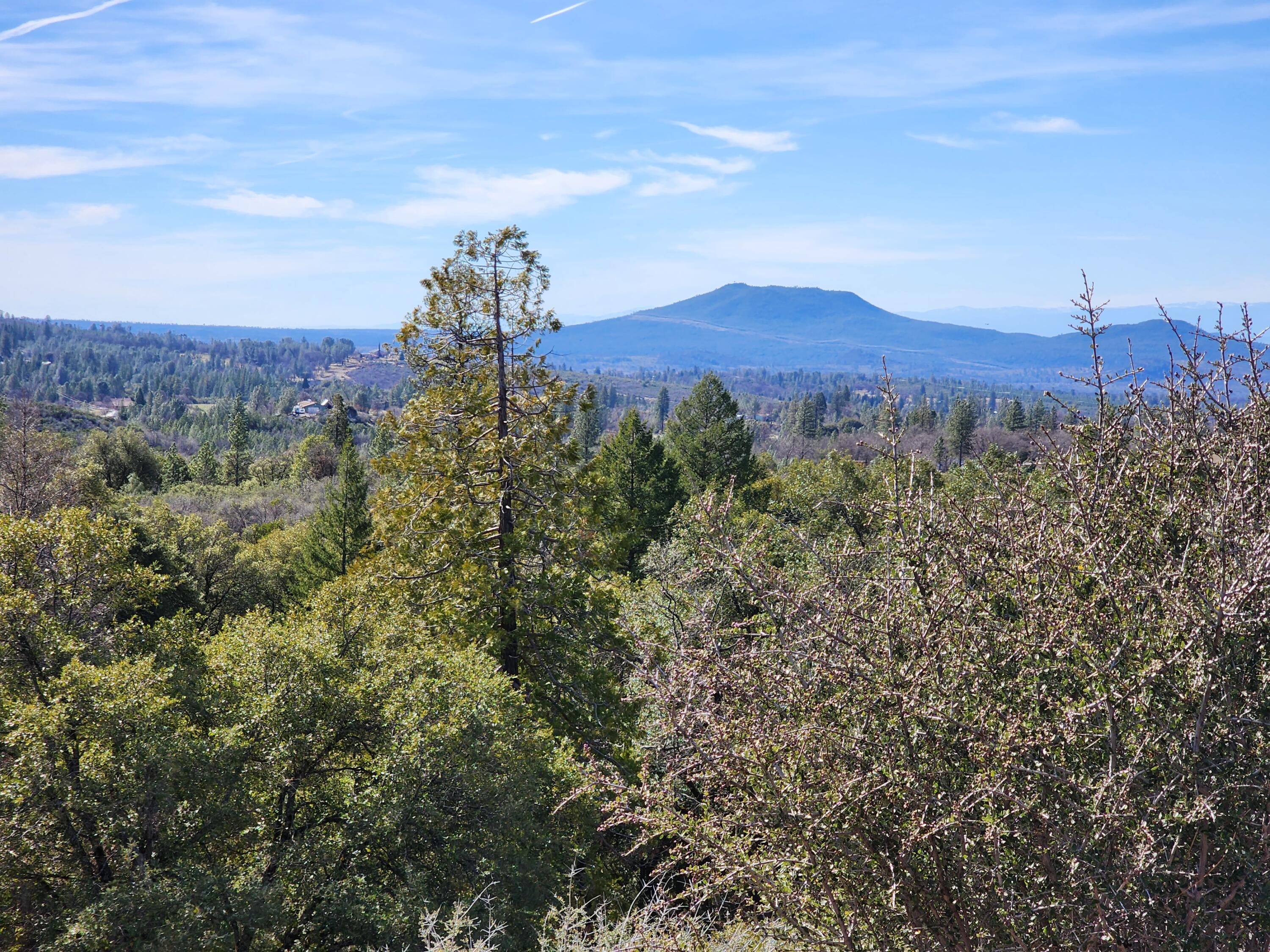 Lot 01 Woodcutter's Way Manton, CA 96059 - Photo 27 of 33 20230219_114754