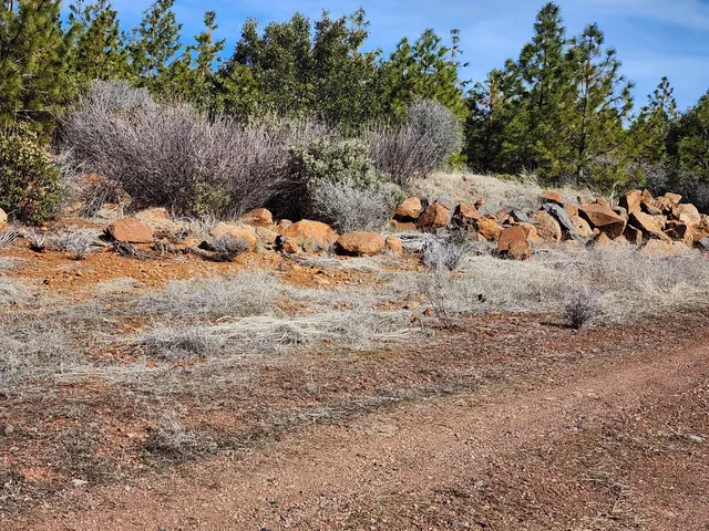 $145,000 | Lot 01 Woodcutter's Way, Manton, CA 96059