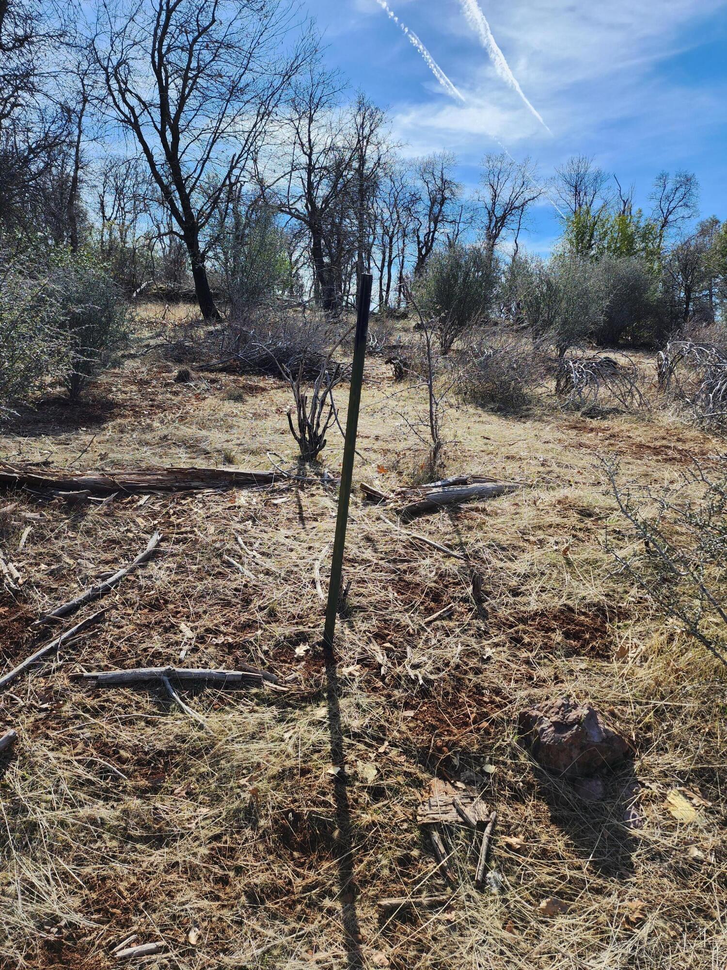 Lot 01 Woodcutter's Way Manton, CA 96059 - Photo 30 of 33 20230219_120048