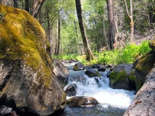 $145,000 | Lot 01 Woodcutter's Way, Manton, CA 96059