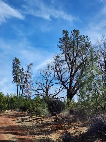 $145,000 | Lot 01 Woodcutter's Way, Manton, CA 96059