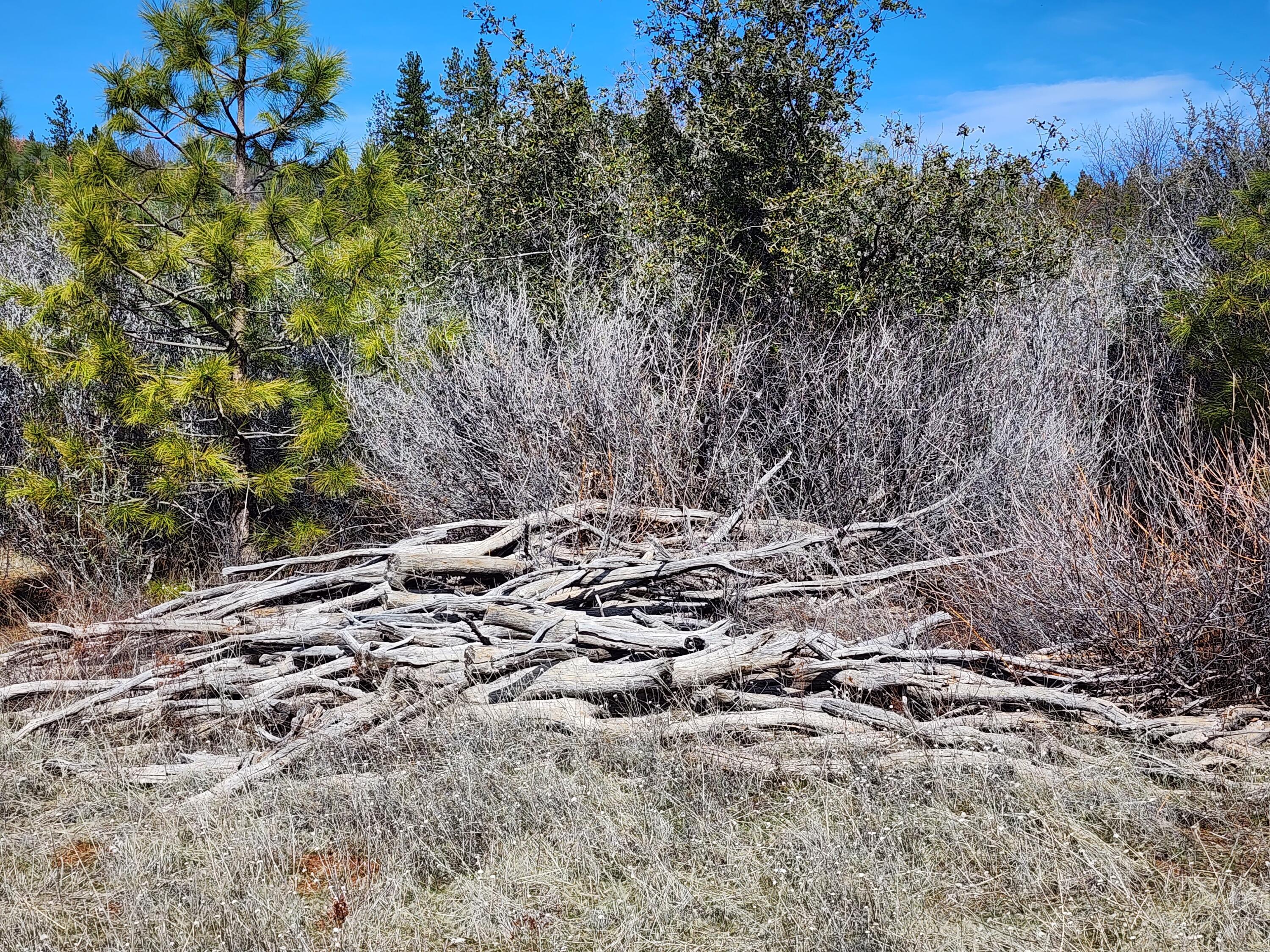 Lot 01 Woodcutter's Way Manton, CA 96059 - Photo 32 of 33 20230219_120429