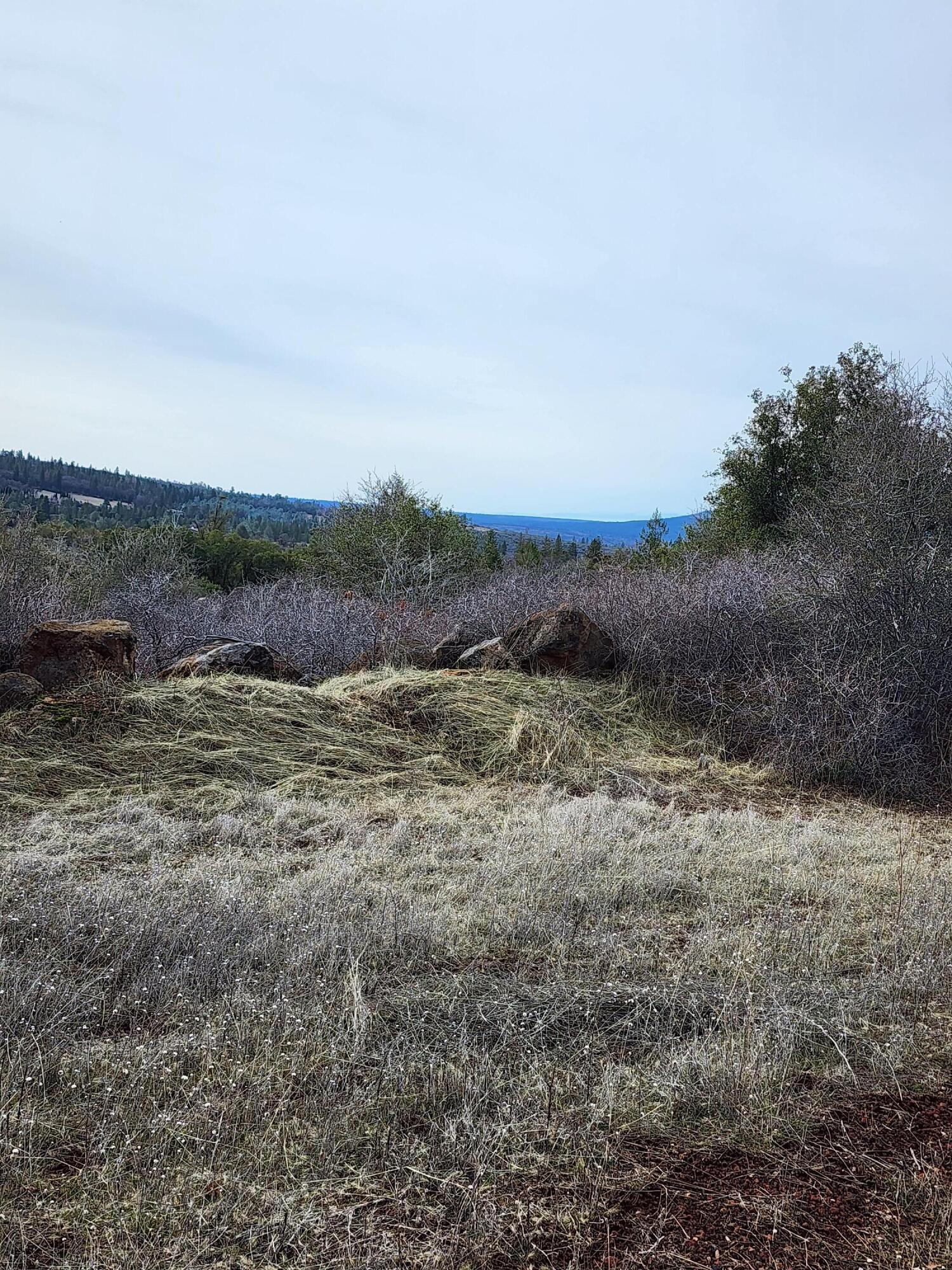 Lot 01 Woodcutter's Way Manton, CA 96059 - Photo 7 of 33 20230207_102828