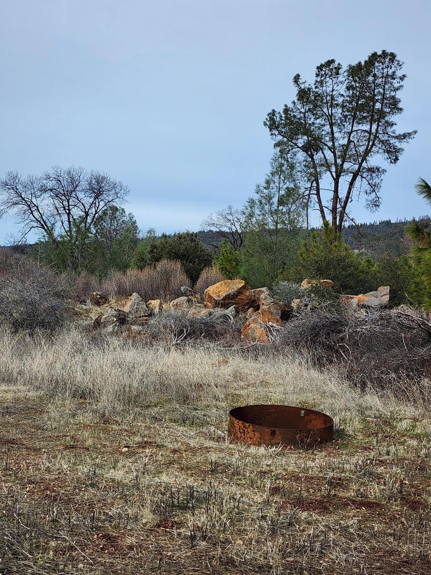 Lot 01 Woodcutter's Way Manton, CA 96059 - Photo 8 of 33 20230207_102933
