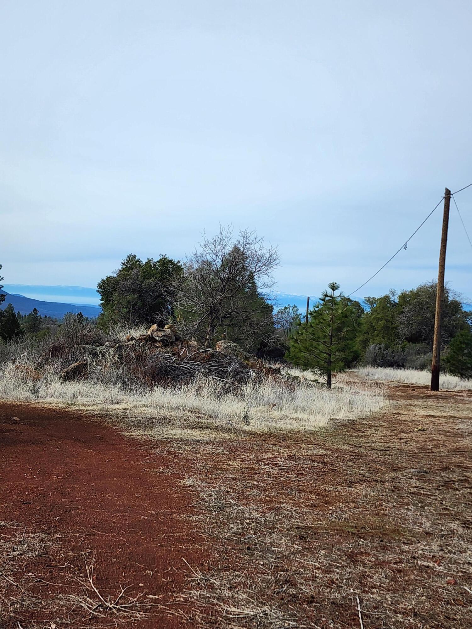 Lot 01 Woodcutter's Way Manton, CA 96059 - Photo 9 of 33 20230207_102939