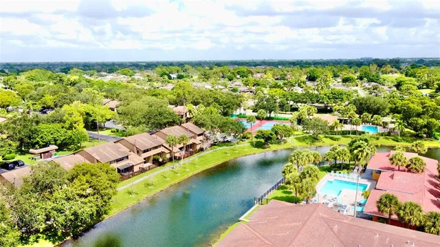 a view of a yard with plants